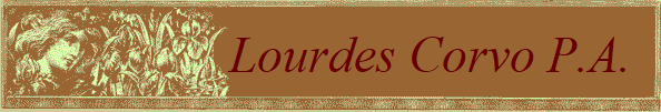 Lourdes Corvo P.A.  